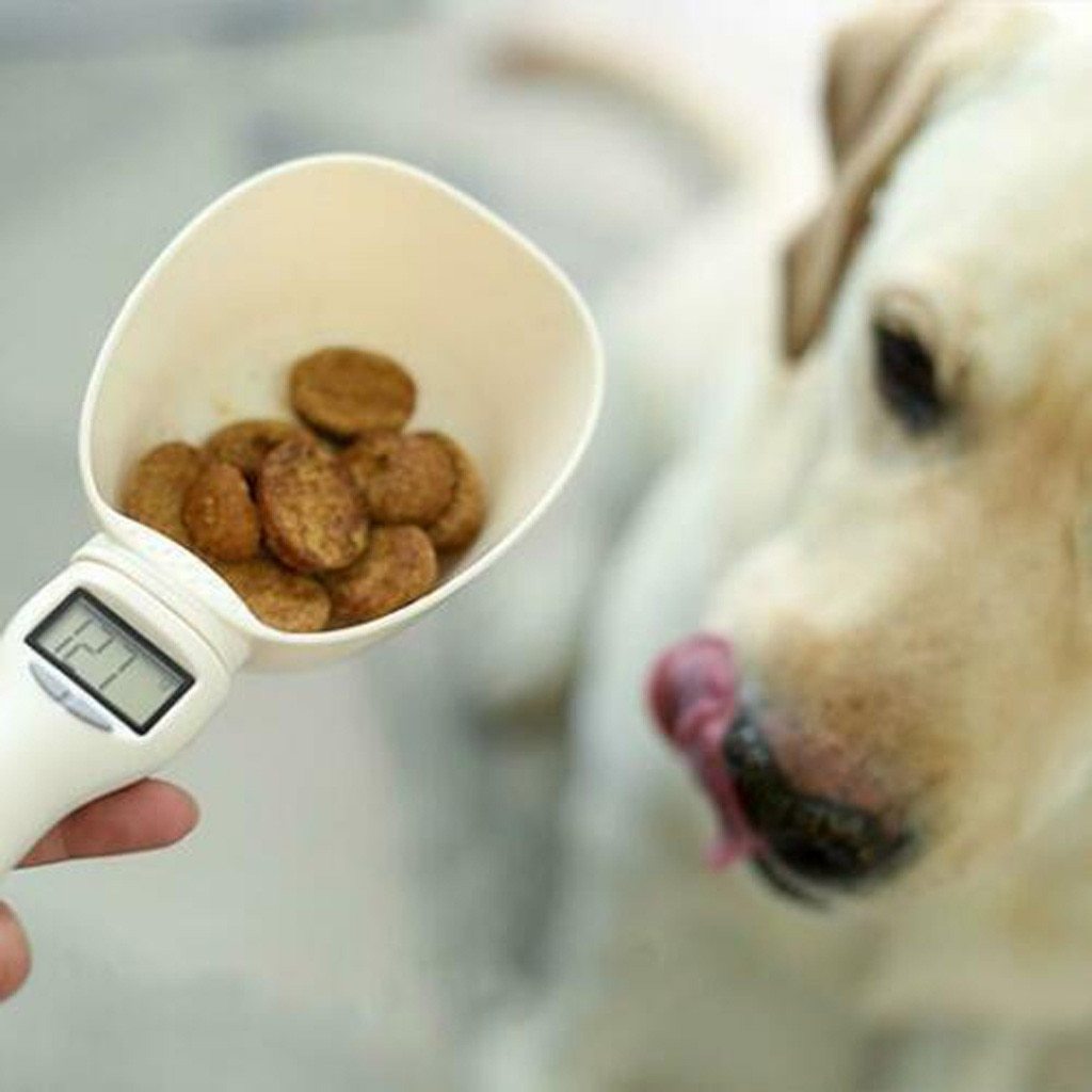 Digital Pet Food Scoop | Accurate Portion Control & Nutrition Tool