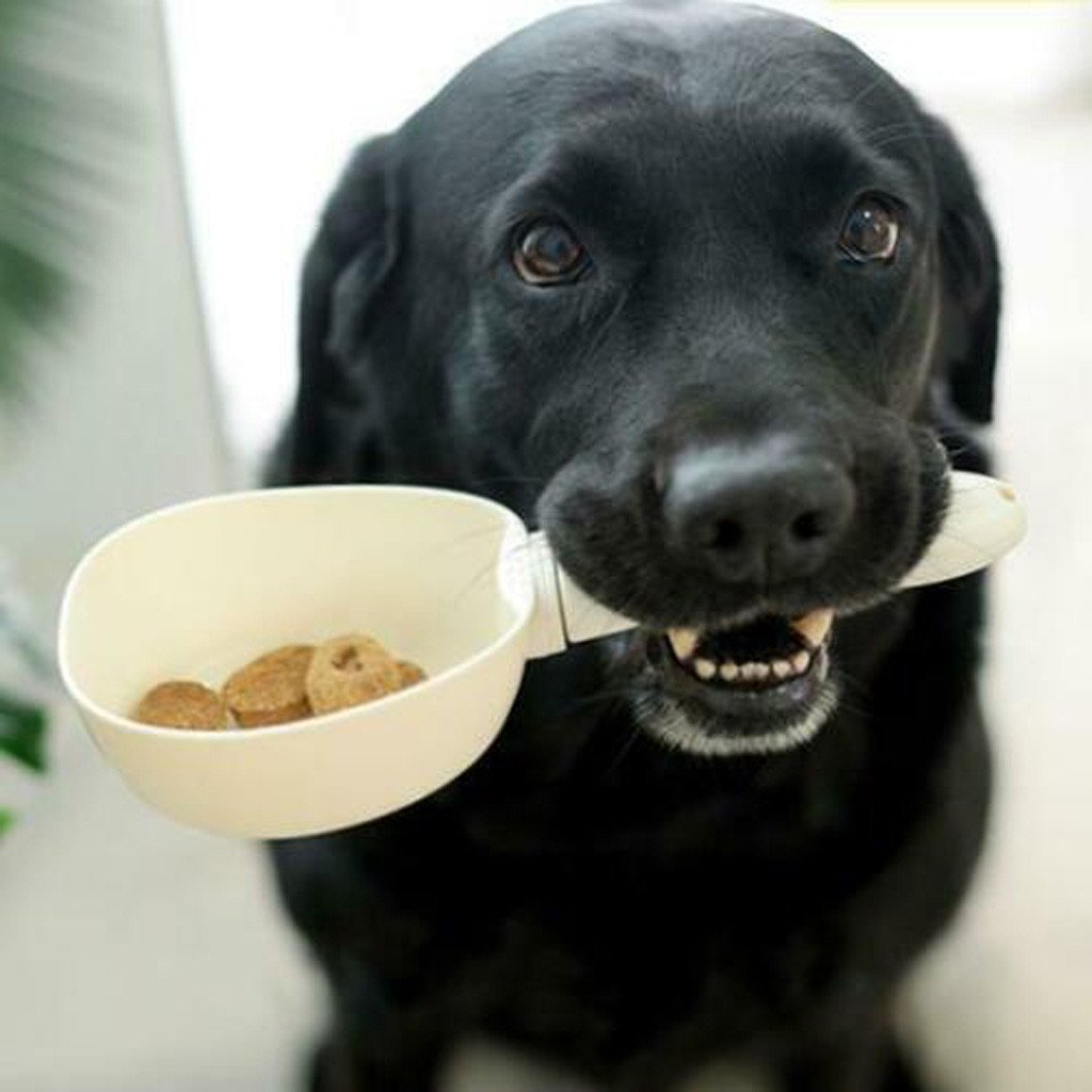 Digital Pet Food Scoop | Accurate Portion Control & Nutrition Tool