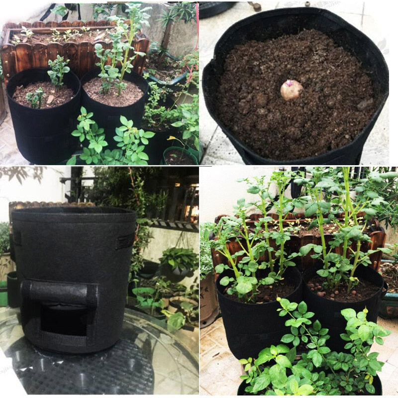 Durable Potato Grow Bags | Easy Harvest Window | Reusable & Breathable Fabric