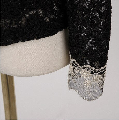 Elegant Lace Long Sleeve Blouse | Timeless Elegance with Intricate Embroidery