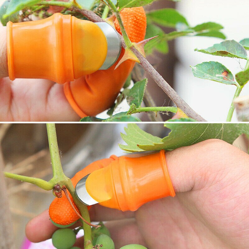 Handy Finger Knife | Ergonomic Garden Tool & Harvesting Essential