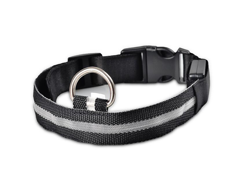 LED Light-Up Dog Collar | Safety Visible for Nighttime Walks