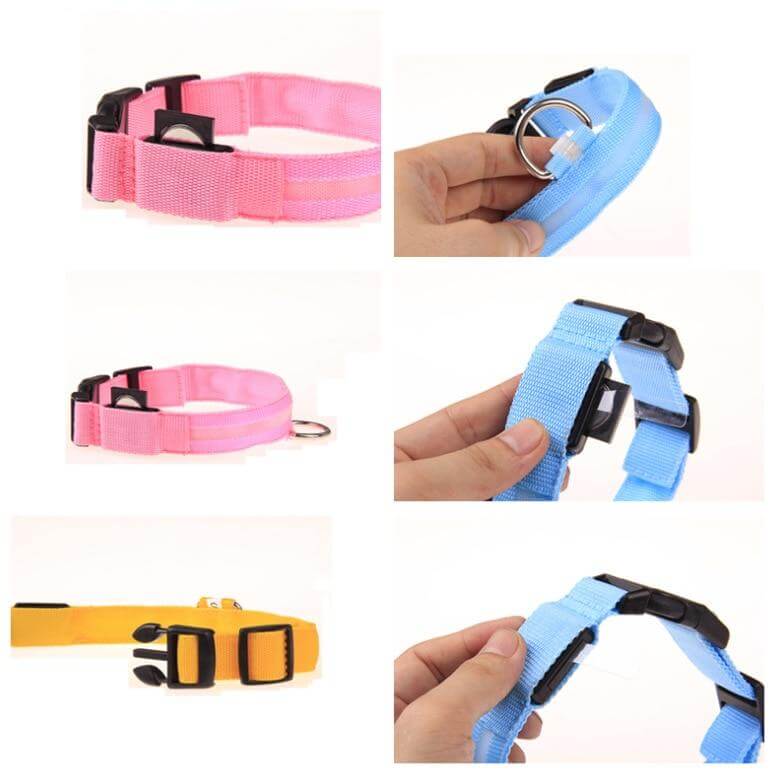 LED Light-Up Dog Collar | Safety Visible for Nighttime Walks