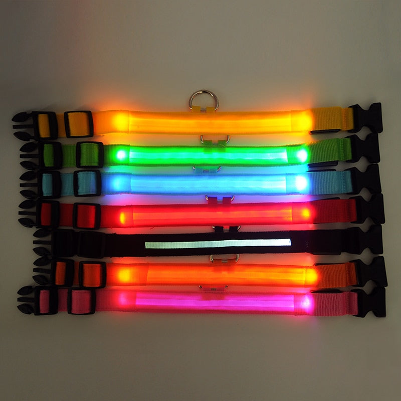 LED Light-Up Dog Collar | Safety Visible for Nighttime Walks