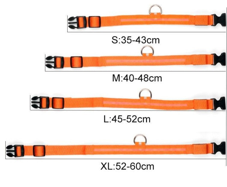 LED Light-Up Dog Collar | Safety Visible for Nighttime Walks