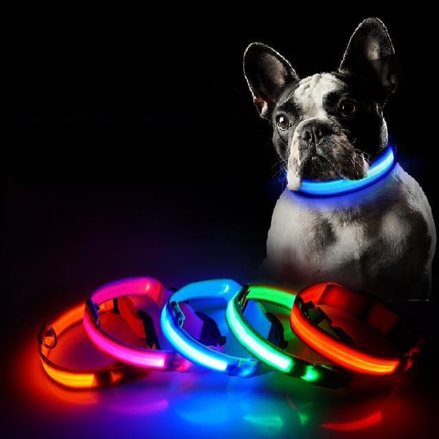 LED Light-Up Dog Collar | Safety Visible for Nighttime Walks