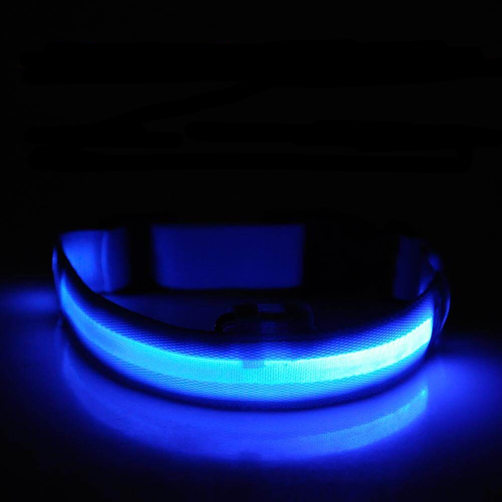 LED Light-Up Dog Collar | Safety Visible for Nighttime Walks