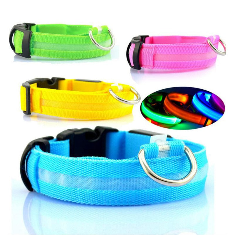 LED Light-Up Dog Collar | Safety Visible for Nighttime Walks