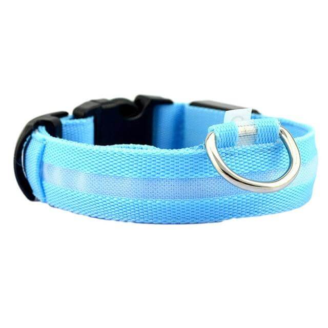 LED Light-Up Dog Collar | Safety Visible for Nighttime Walks
