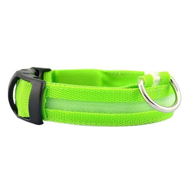 LED Light-Up Dog Collar | Safety Visible for Nighttime Walks