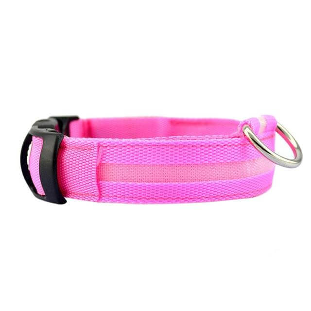 LED Light-Up Dog Collar | Safety Visible for Nighttime Walks