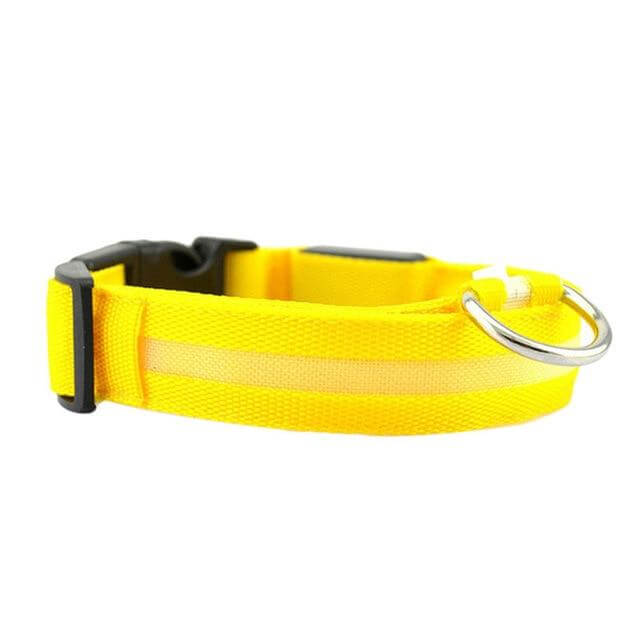 LED Light-Up Dog Collar | Safety Visible for Nighttime Walks