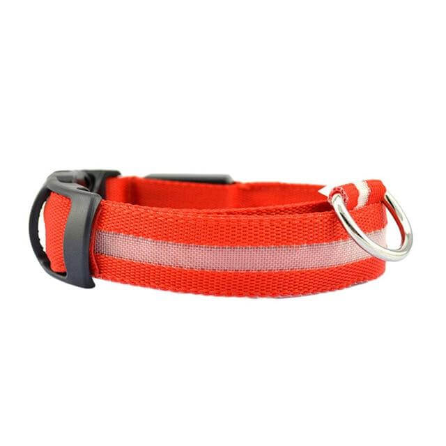 LED Light-Up Dog Collar | Safety Visible for Nighttime Walks