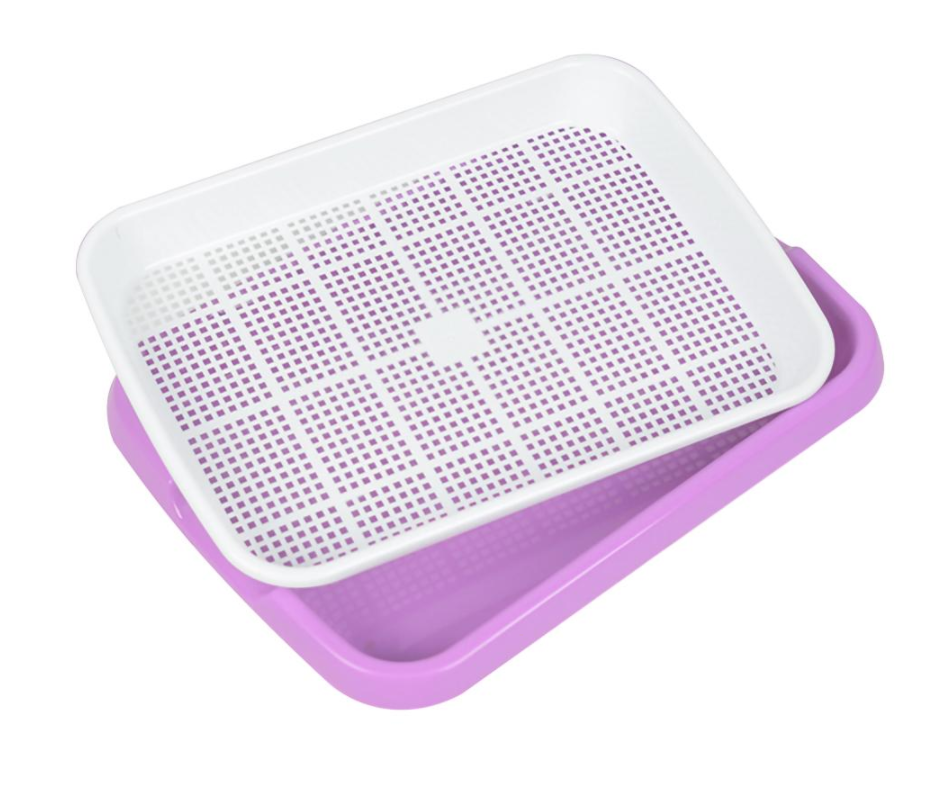 Microgreens Growing Kit | Hydroponic Microgreens Kit
