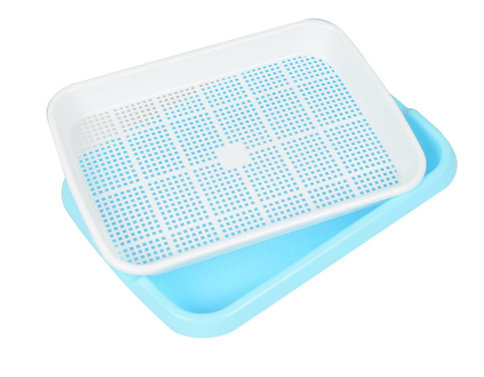 Microgreens Growing Kit | Hydroponic Microgreens Kit