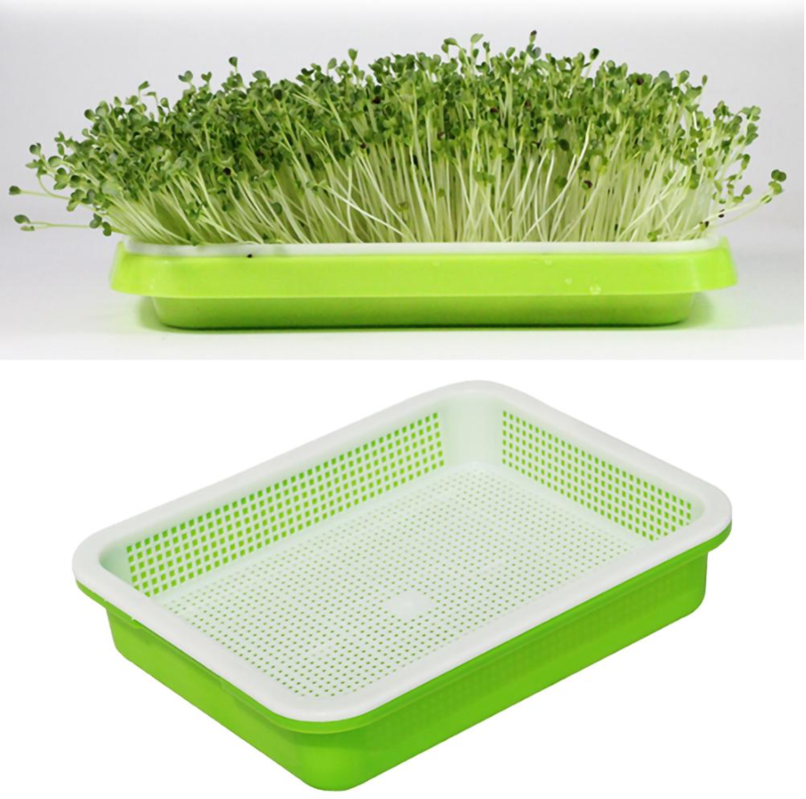 Microgreens Growing Kit | Hydroponic Microgreens Kit