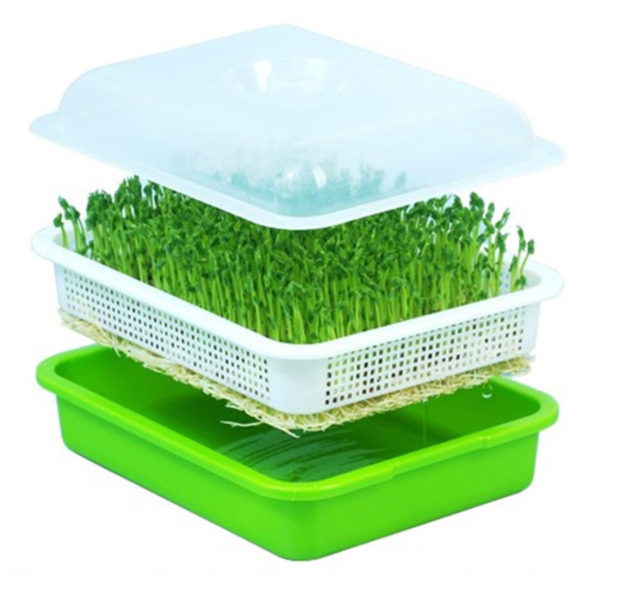 Microgreens Growing Kit | Hydroponic Microgreens Kit