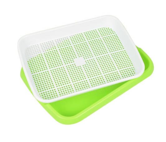 Microgreens Growing Kit | Hydroponic Microgreens Kit