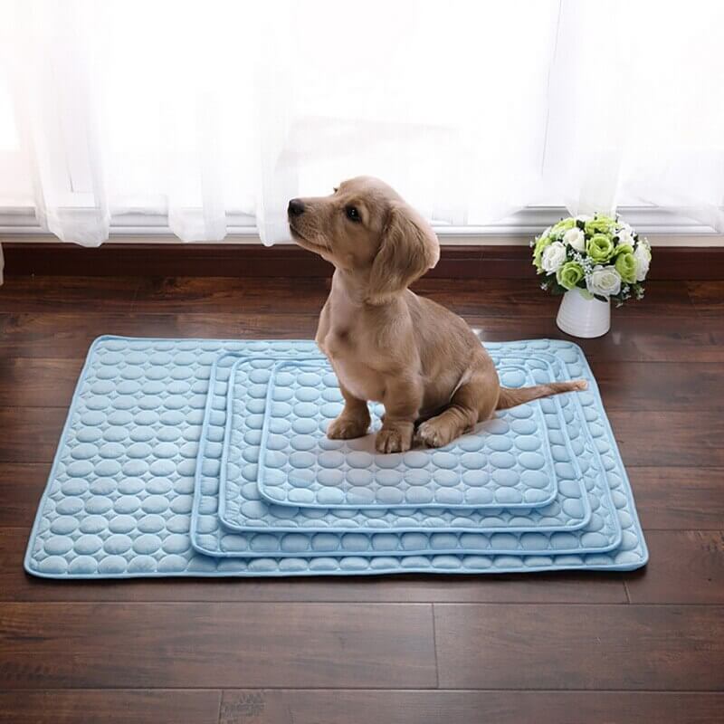 Premium Cooling Pet Mat | Multi-Size Comfort and Wellness