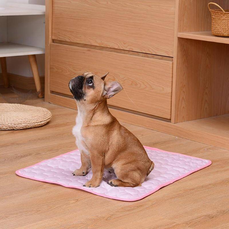 Premium Cooling Pet Mat | Multi-Size Comfort and Wellness