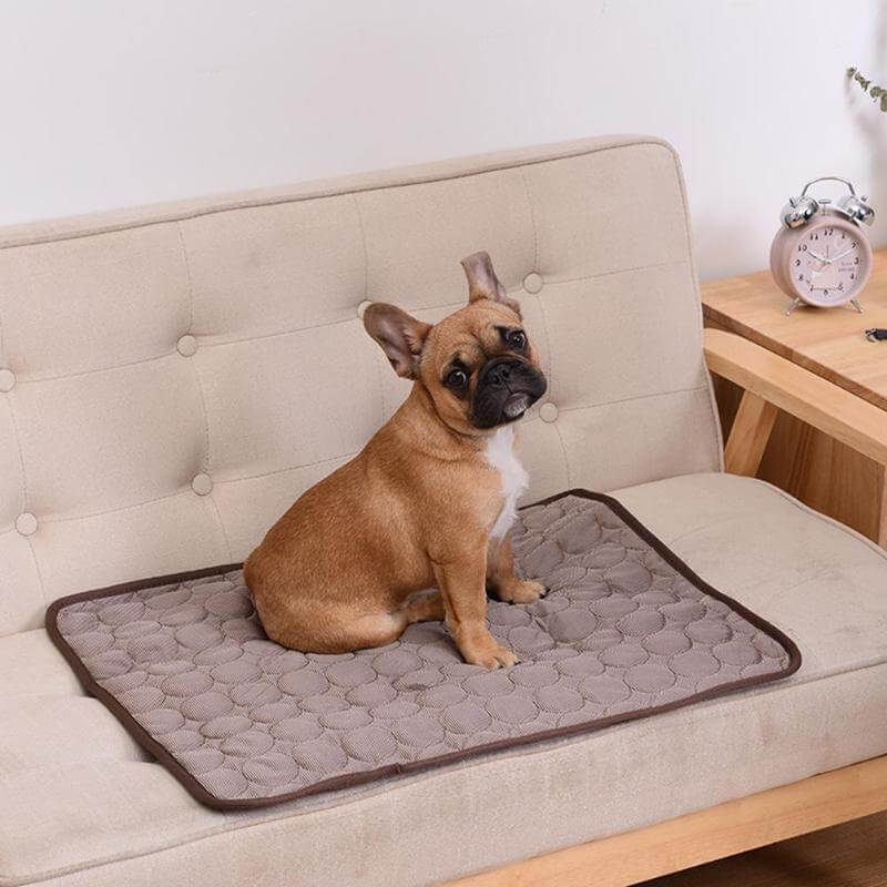 Premium Cooling Pet Mat | Multi-Size Comfort and Wellness