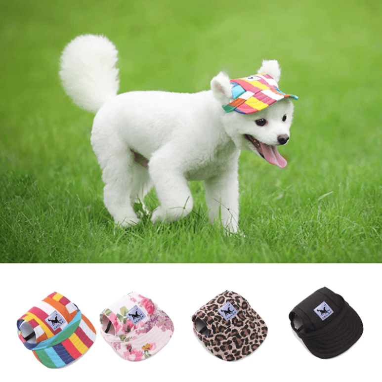 Stylish Pet Caps | Sun Protection for Pets