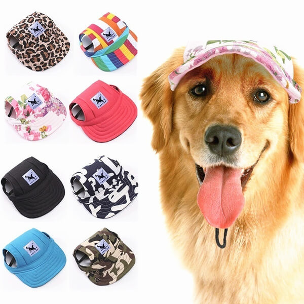 Stylish Pet Caps | Sun Protection for Pets
