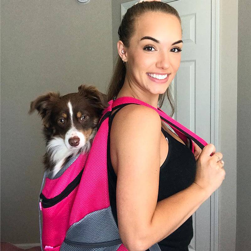 Cozy Adventure Pet Backpack | Breathable Mesh Design for Hiking and Travel