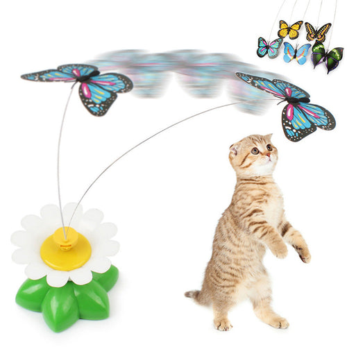Interactive Cat Toy | Engaging Motion Design Pet Exercise Toy