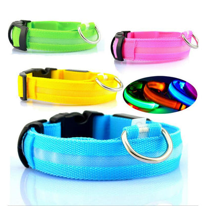 LED Light-Up Dog Collar | Safety Visible for Nighttime Walks