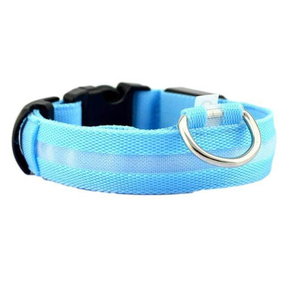 LED Light-Up Dog Collar | Safety Visible for Nighttime Walks