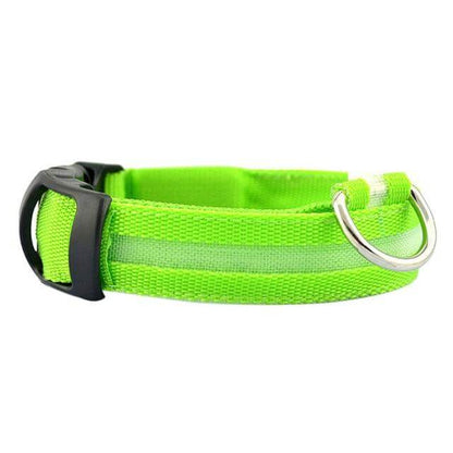 LED Light-Up Dog Collar | Safety Visible for Nighttime Walks