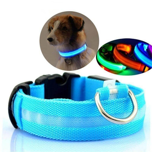 LED Light-Up Dog Collar | Safety Visible for Nighttime Walks