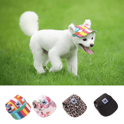 Stylish Pet Caps | Sun Protection for Pets