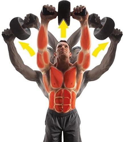 Ultimate Fitness Ab Roller | Enhanced Stability for Core Workouts